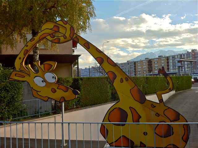 veveygiraffe